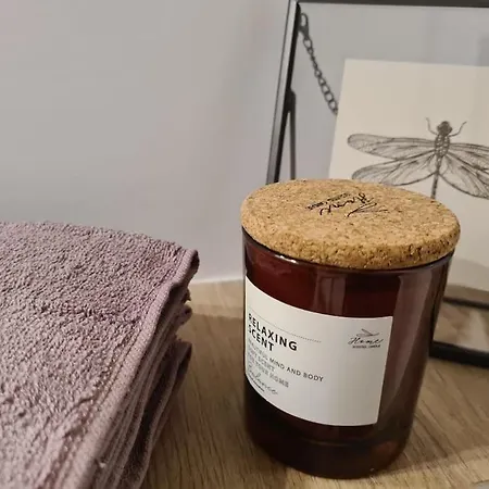 Uroczy Blisko Centrum - 10 Min Do Plazy 公寓 格丁尼亚